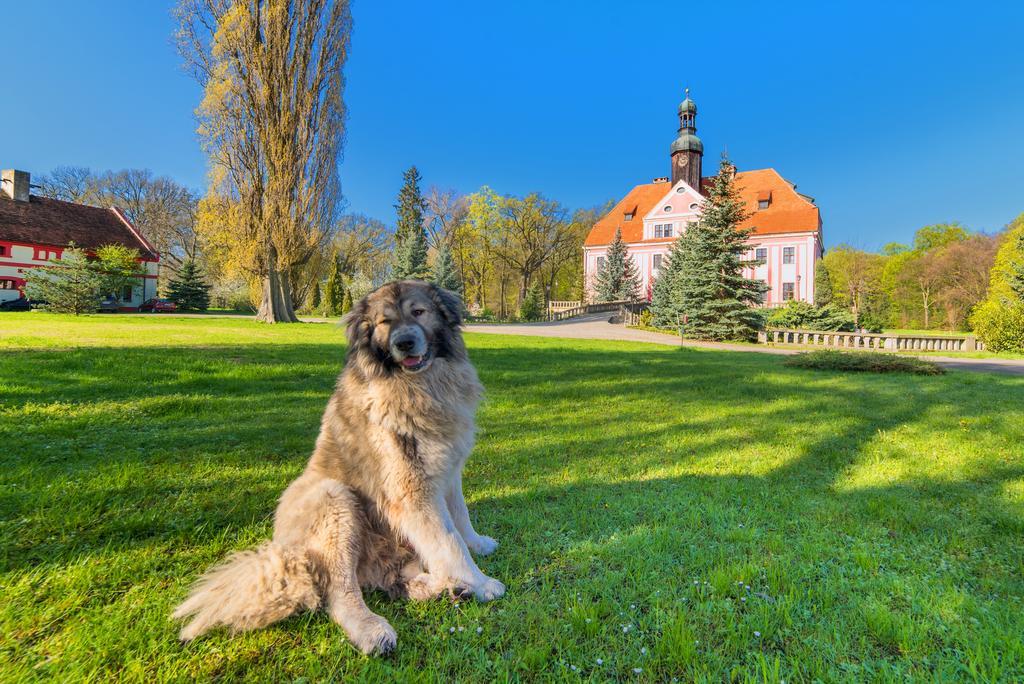 Boutique Palac Warmatowice Sienkiewiczowskie Legnica Esterno foto